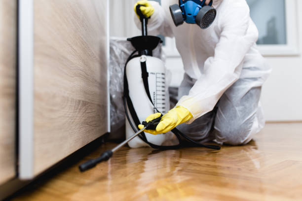 Flea Control Services in Geneva, FL