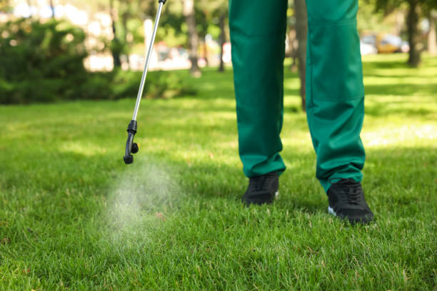 Best Wasp Removal Services  in Geneva, FL