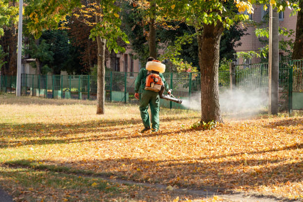 Best Pest Control Near Me in Geneva, FL